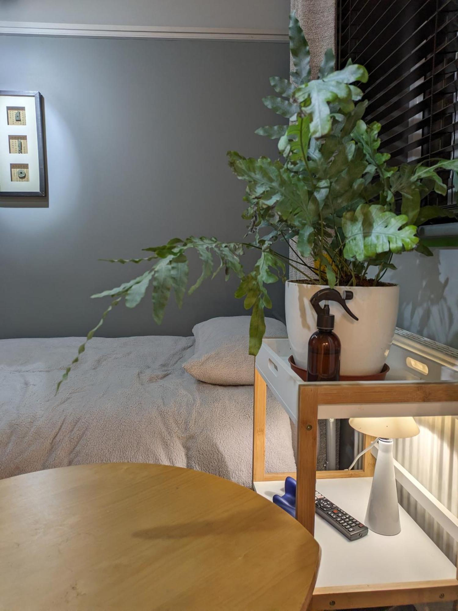 הנטיגדון 2 Homestay Guest Rooms מראה חיצוני תמונה